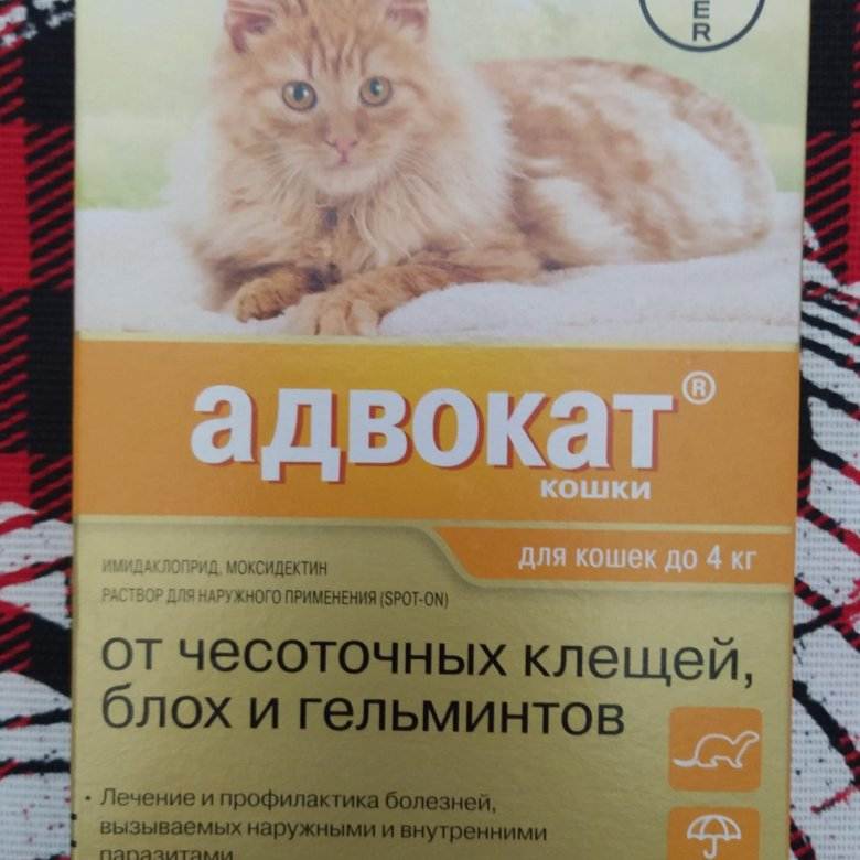 Капли для кошек "адвокат": инструкция по применению препарата от блох, глистов и клещей