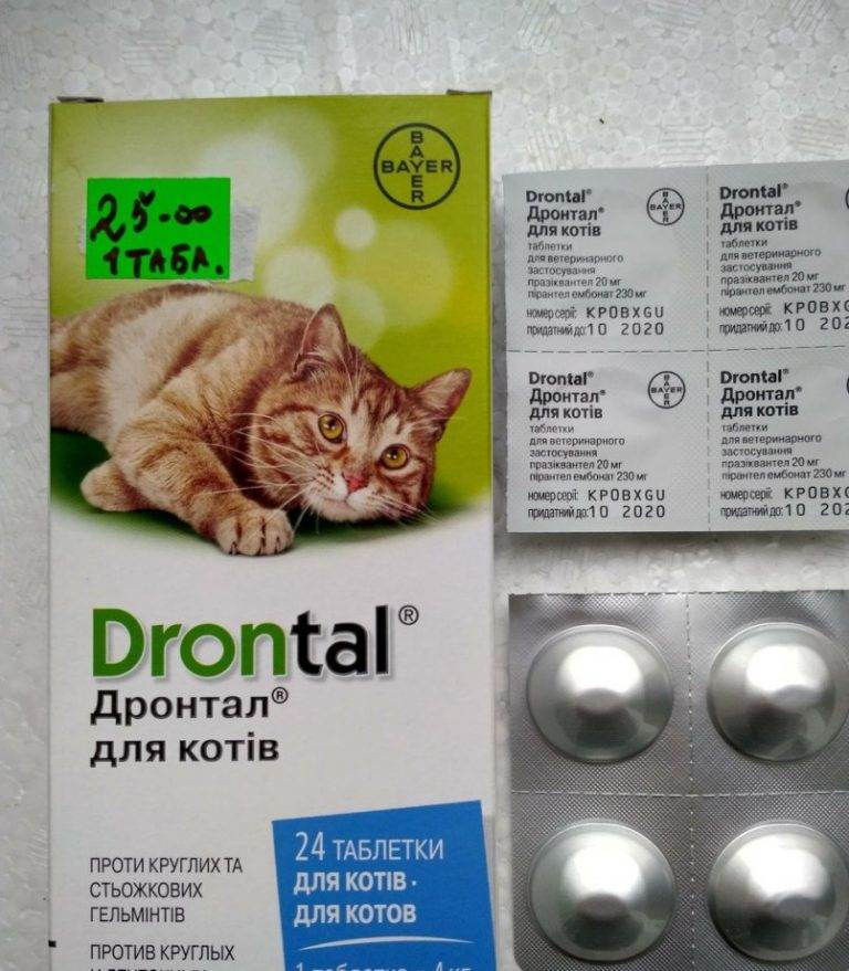 Таблетки от глистов для кошек