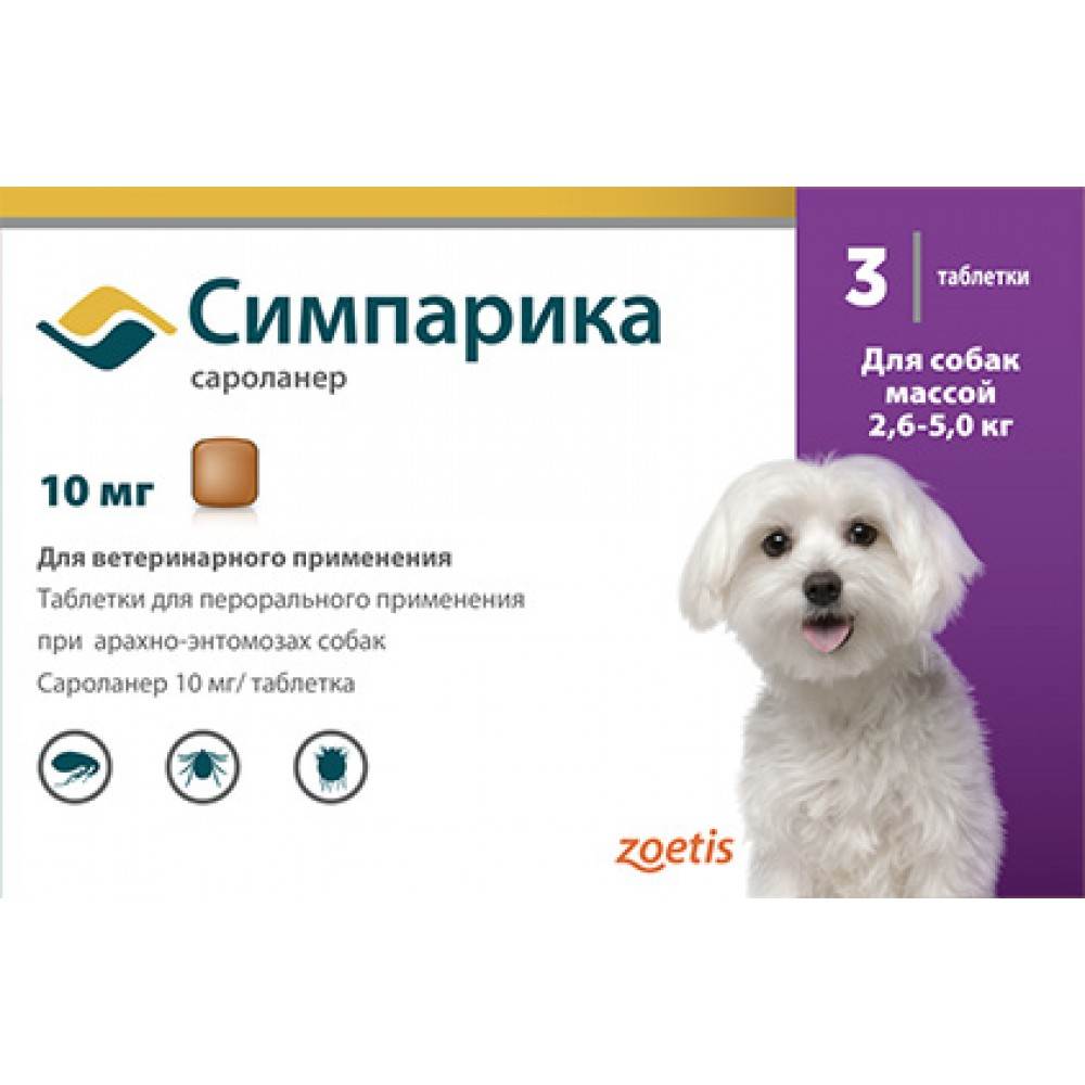 Таблетки от глистов для собак: какие лучше и как дать | petguru