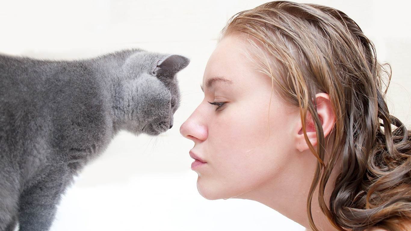 Почему кошки вылизывают людей, зачем они лижут хозяину руки, лицо или ноги?