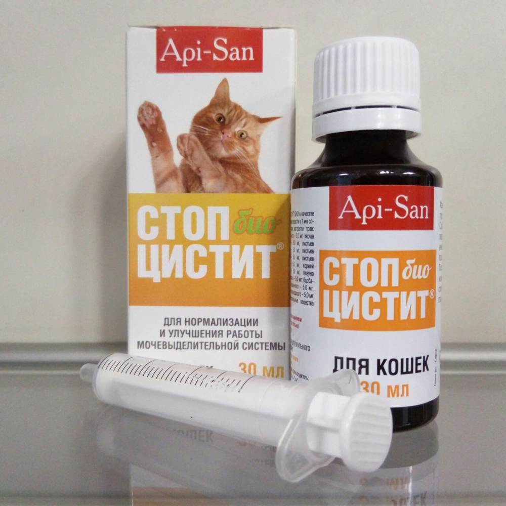 ᐉ стоп цистит для кошек что лучше таблетки или суспензия что лучше - zmclinic.ru