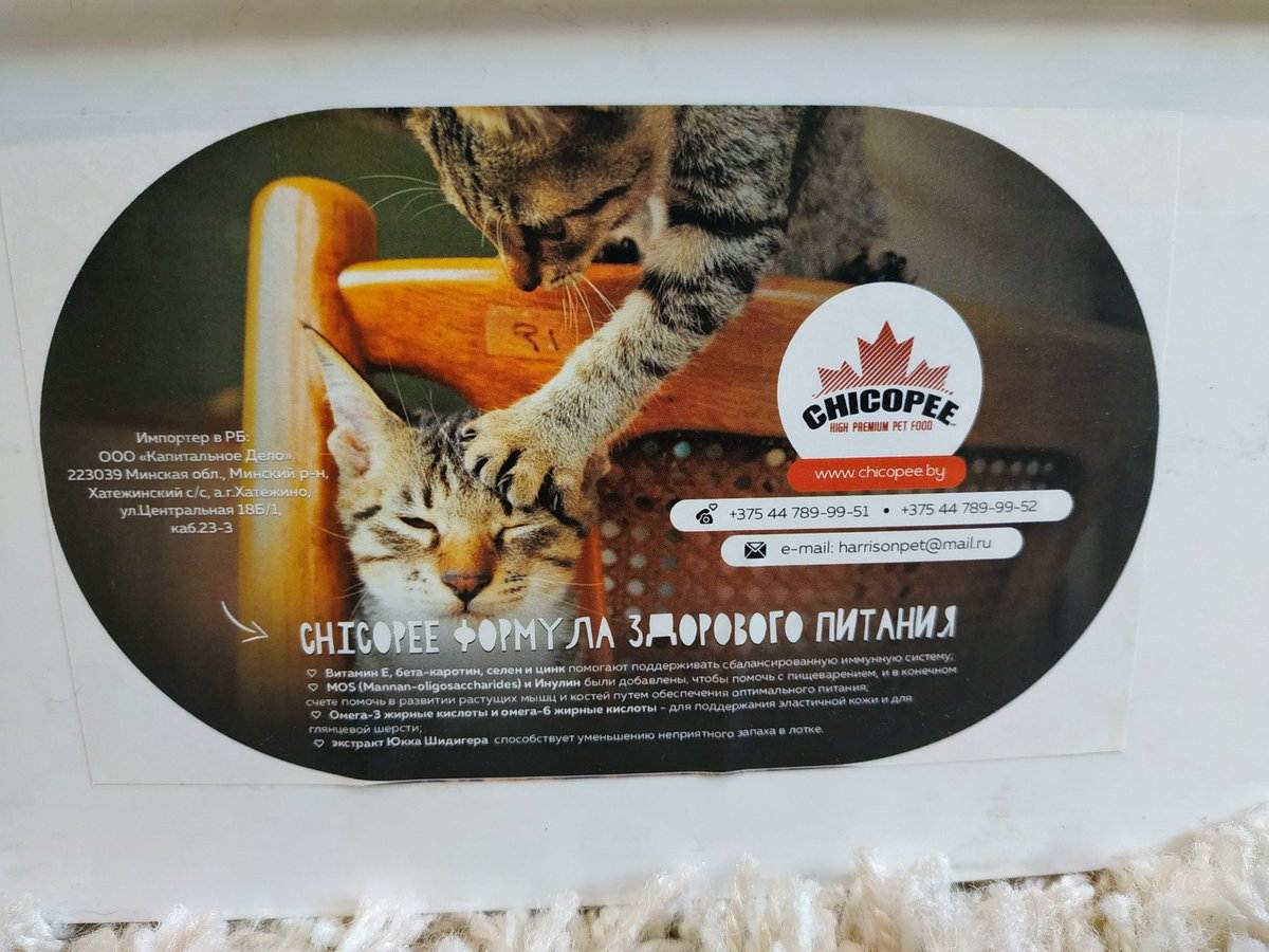 Сухой корм холистик для кошек - состав описание и рейтинг