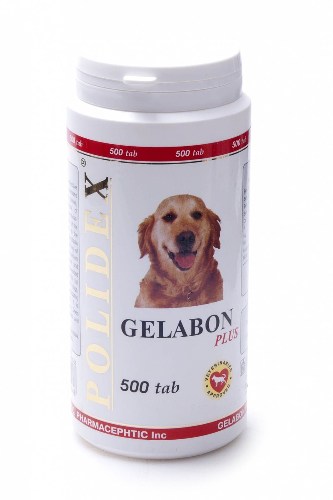 Витамины для пожилых собак - обзор комплексов для шерсти, суставов и костей