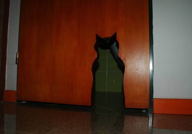 Дверь для кошки в туалет