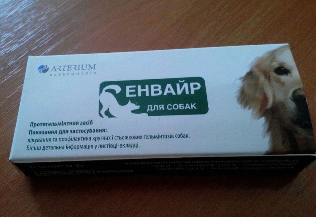 Какие лекарства нельзя давать собакам – полный список запрещенных препаратов - kotiko.ru