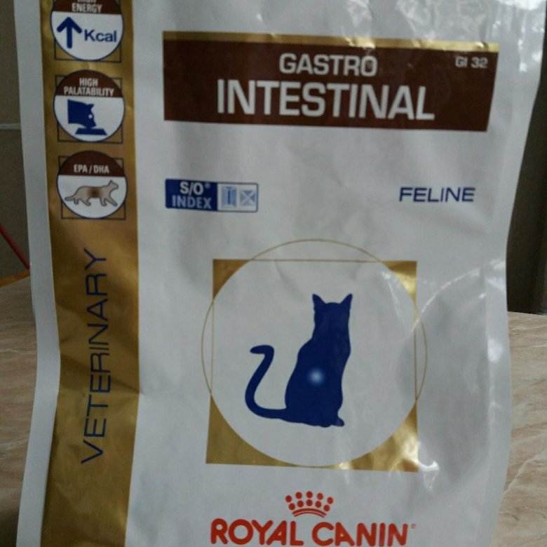 Корм royal canin gastro intestinal - описание, состав, виды и отзывы :: syl.ru