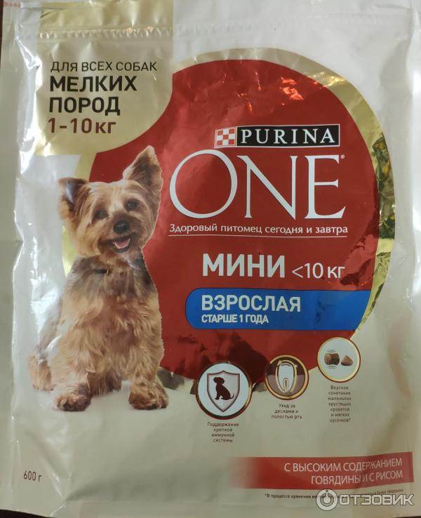 Пурина оне (purina one) для собак: линейка сухих и влажных кормов