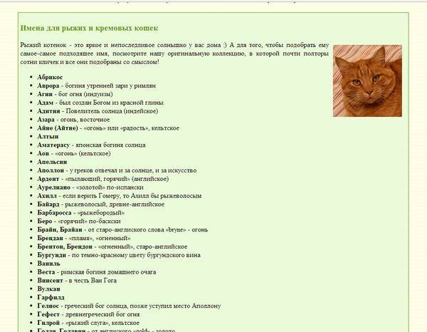 Имена для трехцветных кошек - oozoo.ru