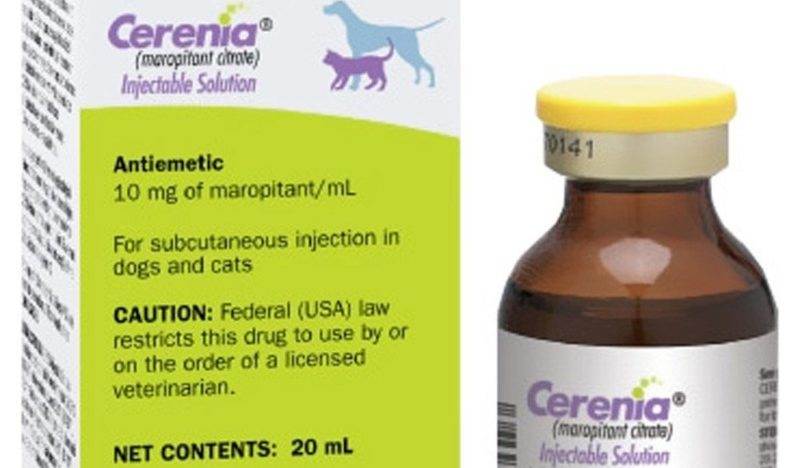 Серения (раствор для инъекций) для собак и кошек | отзывы о применении препаратов для животных от ветеринаров и заводчиков