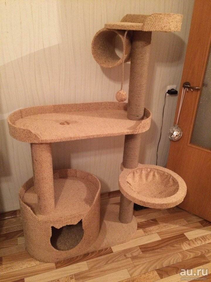 Как выбрать игровой комплекс для кошки