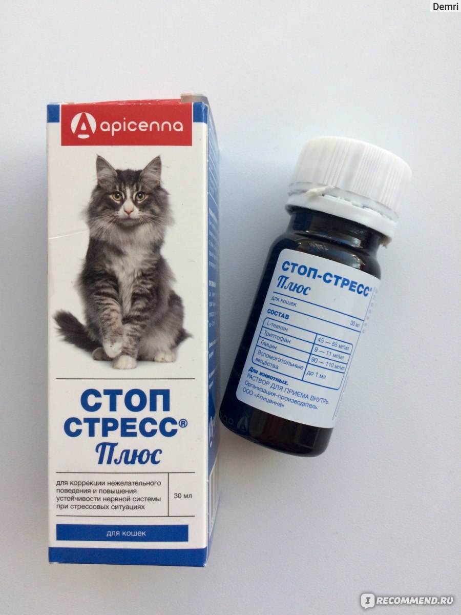 Как себя вести при панических атаках в самолете