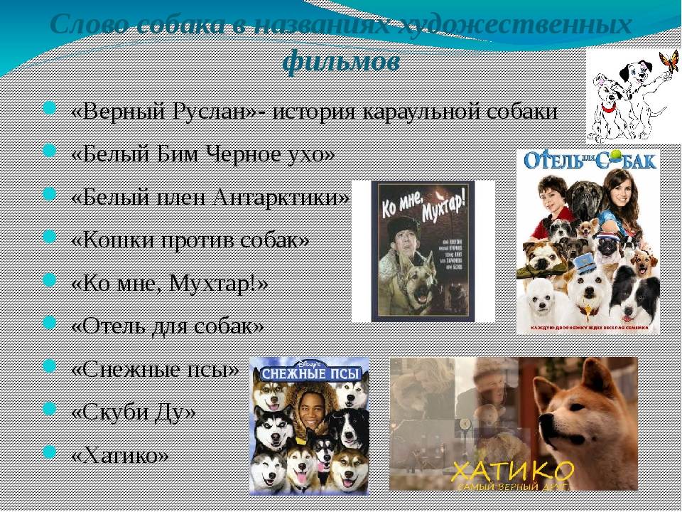 Популярные клички для собак-мальчиков. красивые клички для собак-мальчиков :: syl.ru