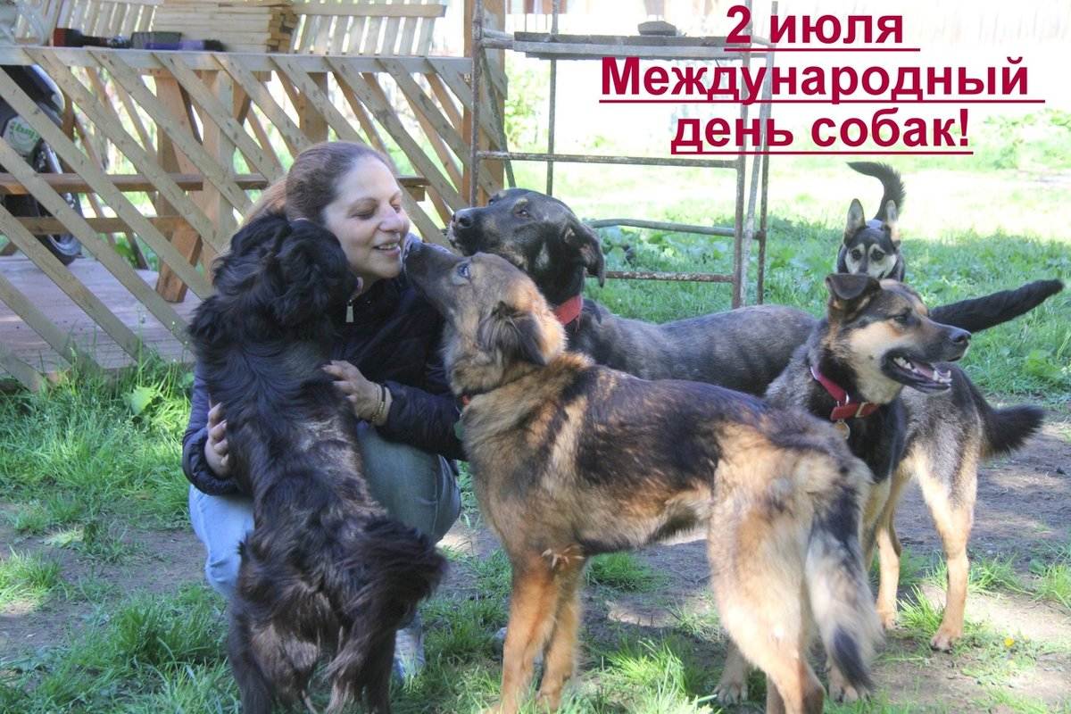 Всемирный день домашних животных и день их стерилизации, а также аналогичные праздники в россии