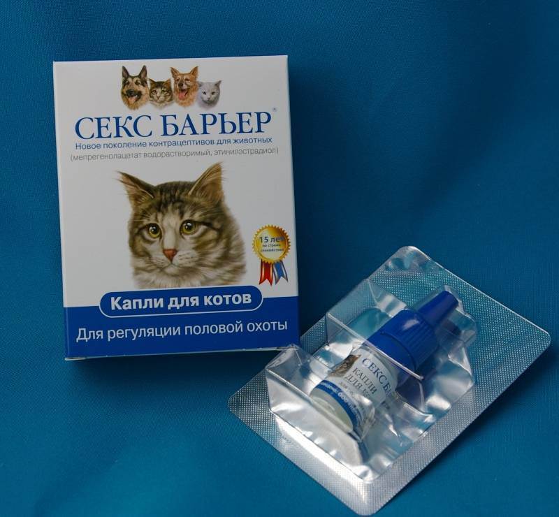 Таблетки против кошек. Капли для кошек сексбарьер. Таблетки антисекс для кошек. Антисекс капли для котов котов.