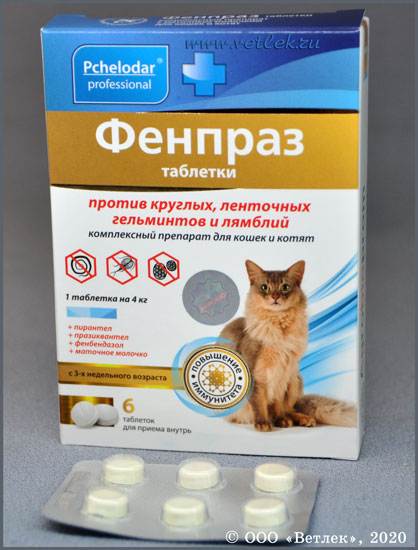 Фенпраз для кошек защищает от глистов