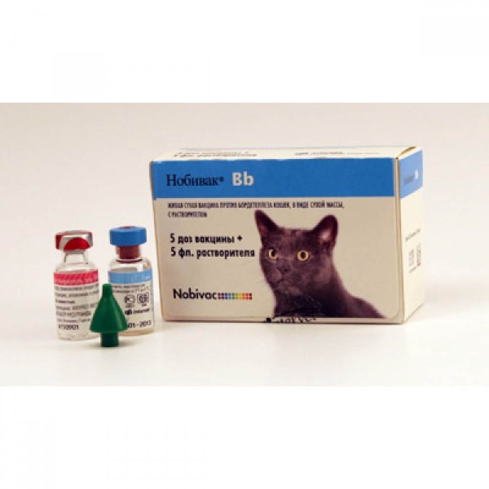 Серия вакцин нобивак для кошек: какие бывают и как применять