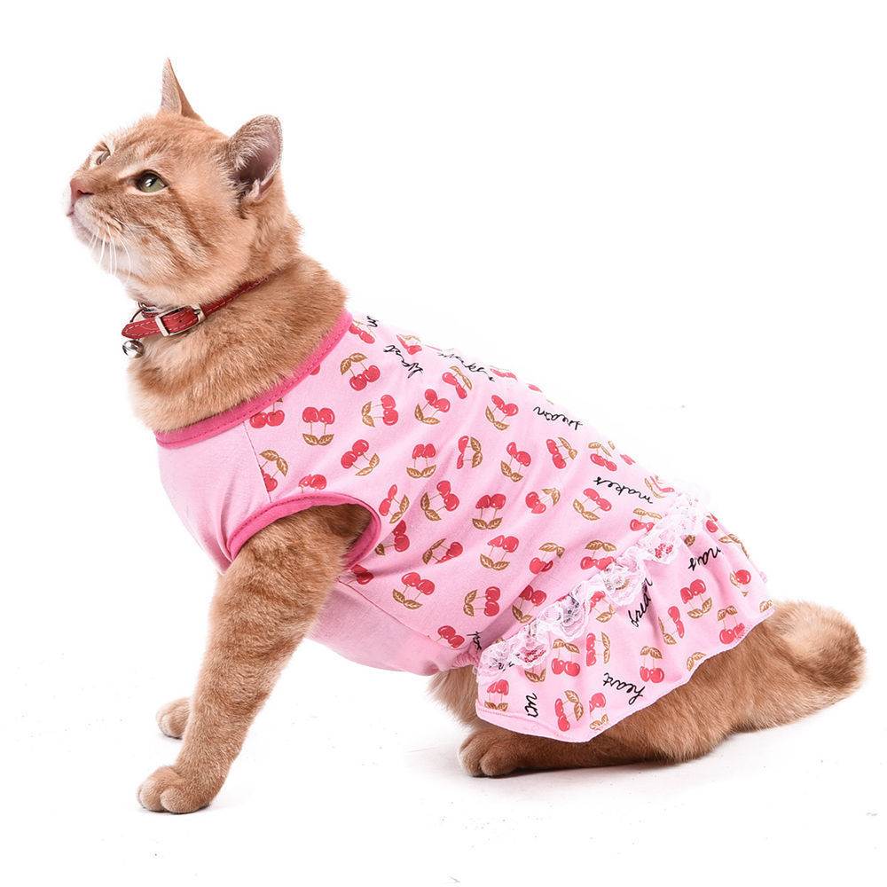 Одежда для кошки: сделать самому своими руками создаем наряды для питомцев