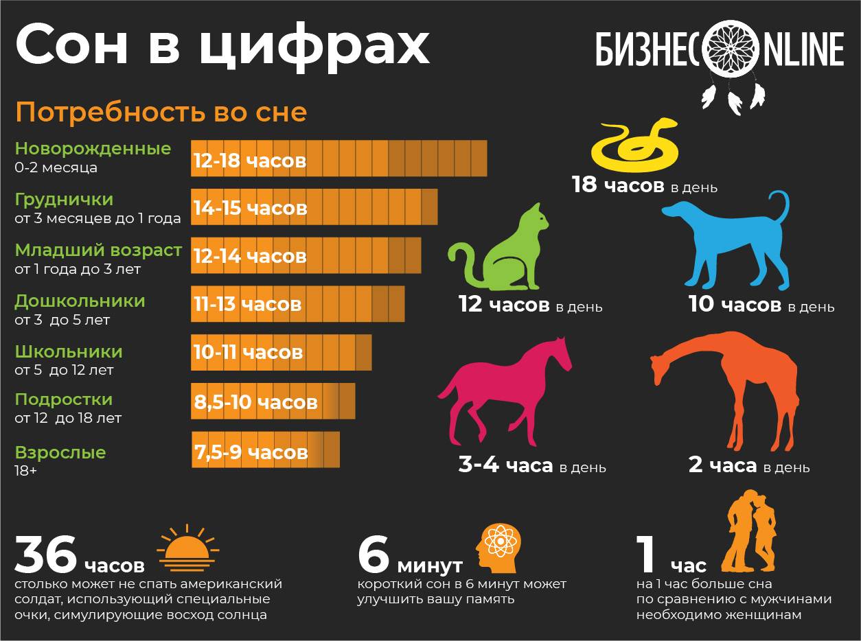 Сколько собаки спят часов в сутки: почему много спят