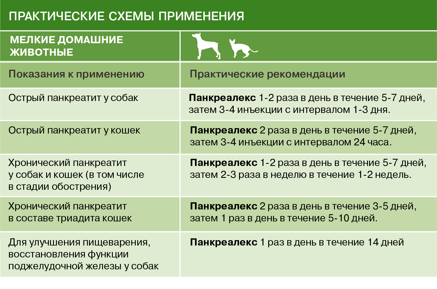 Панкреалекс для собак. Лекарства при панкреатите у собак. Лекарство от панкреатита для собак. Обезболивающее для собаки при панкреатите. Поджелудочная железа собаки препарат.