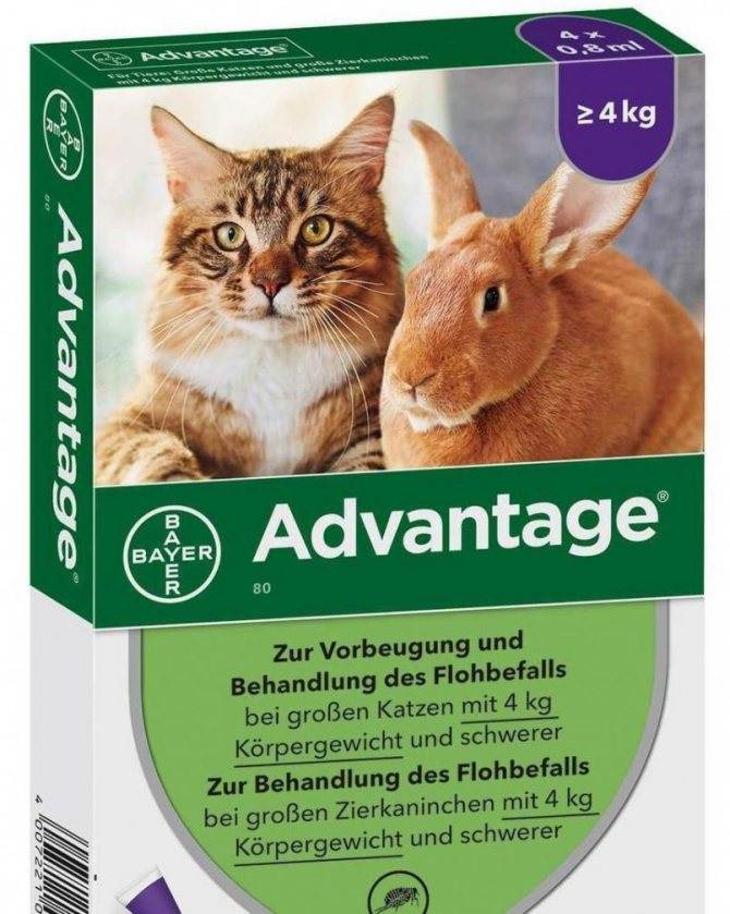 Адвантейдж для кошек инструкция по применению и дозировка для котят и взрослых животных