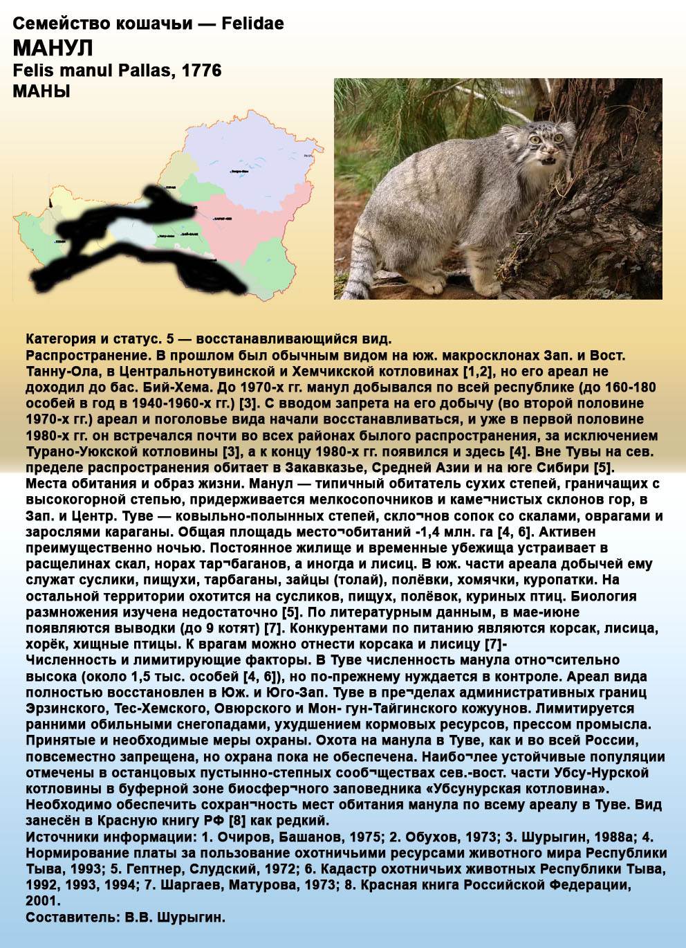 26 пород кошек на грани исчезновения - zefirka