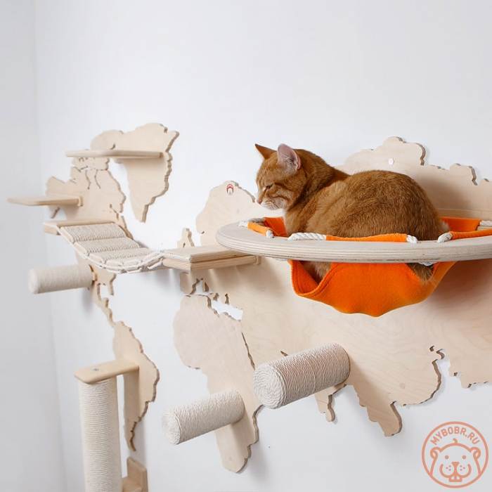 Лабиринт для кошек из коробок: домик-лабиринт как игровой комплекс из картона, картонные игровые зоны котятам своими руками