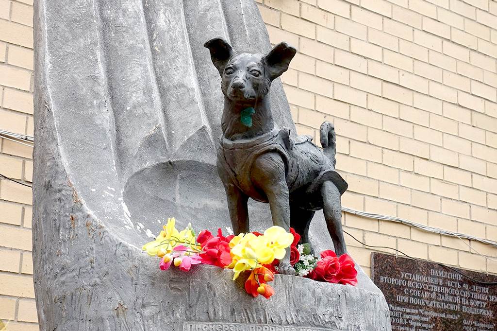 Памятники собаке - самые известные в мире, в россии, в москве