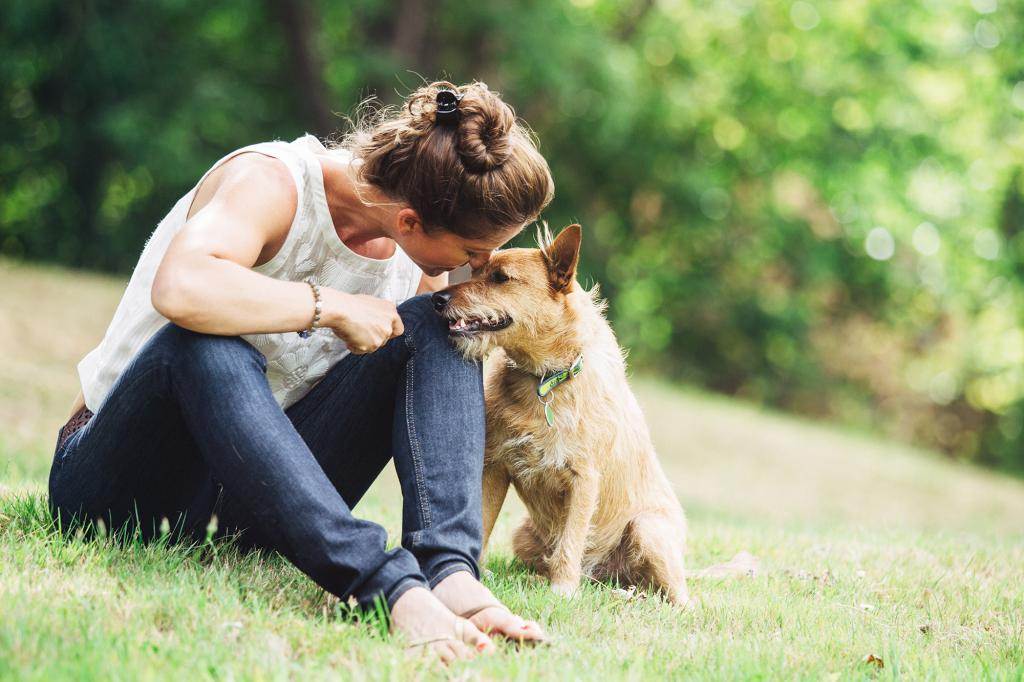 Если собака грустит: 7 способов улучшить настроение питомца
