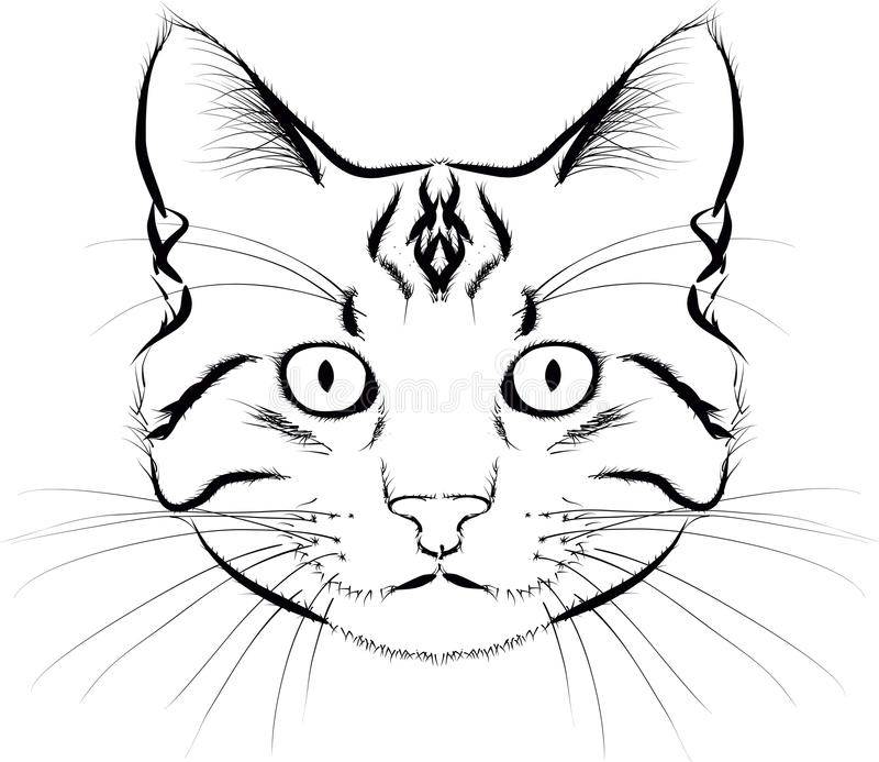 Как нарисовать морду кошки карандашом поэтапно, мордочки котиков