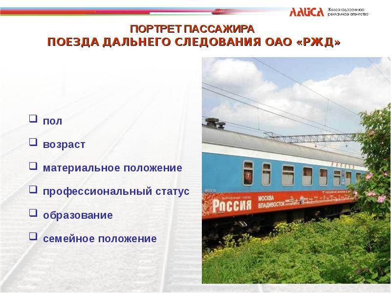 Правила перевозки собак в поезде: новые, с ржд по россии в поездах дальнего следования, в высокоскоростных поездах