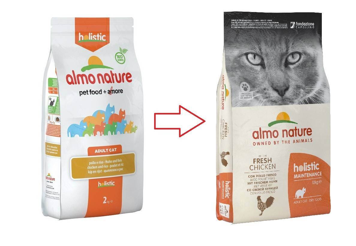Корм для кошек альмо натюр (аlmo nature) - отзывы и советы ветеринаров