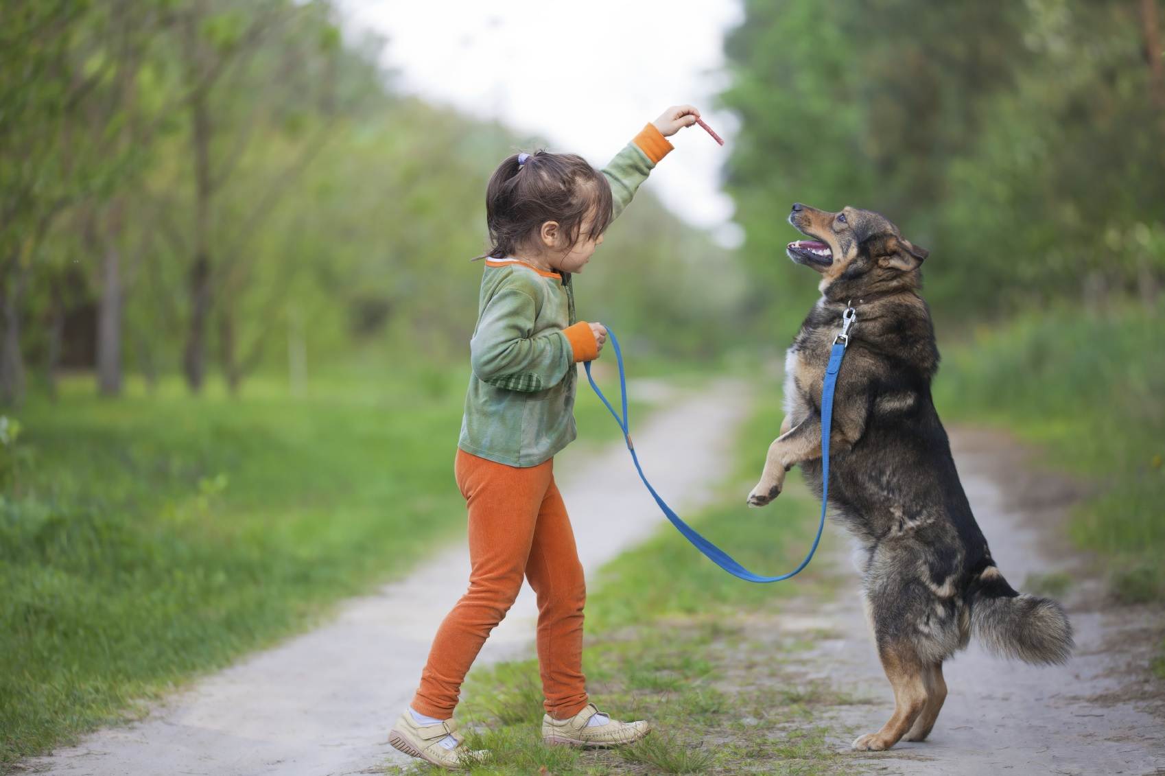 Как отучить собаку прыгать на хозяина и других людей при встрече