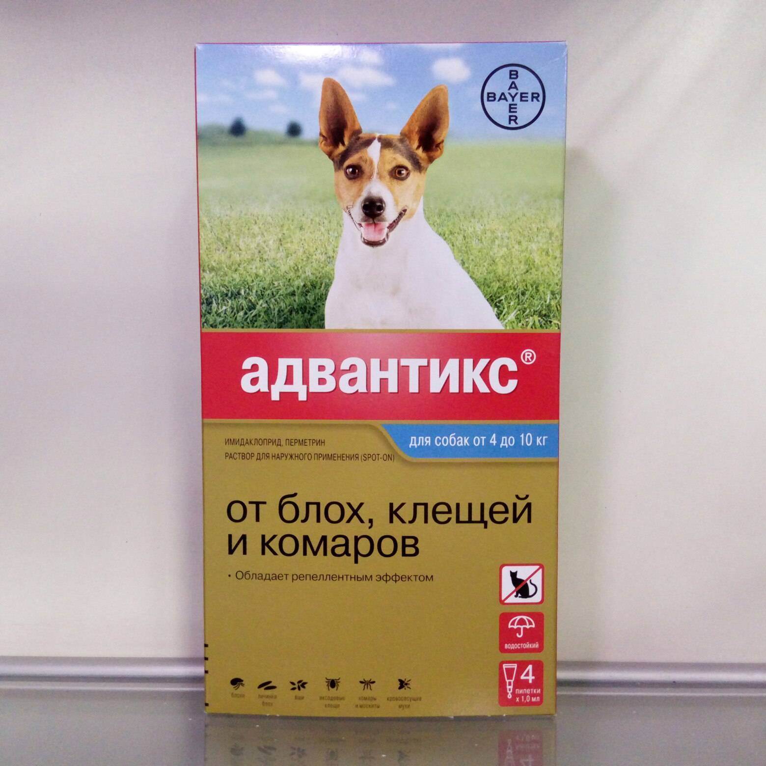 Адвантикс для собак - инструкция по применению, отзывы, цена