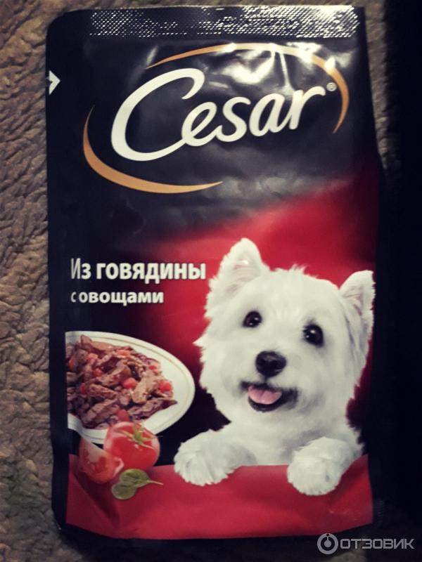 Корм чаппи (chappi) для собак