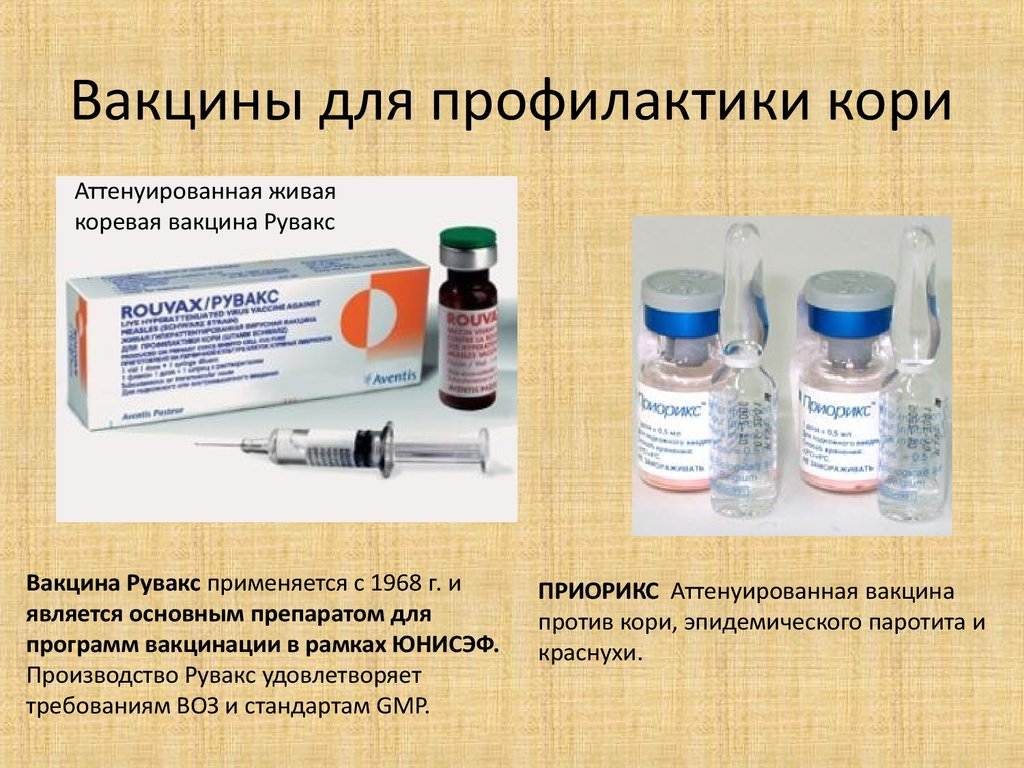 Аллергики смогут завести дома кошку. чем новая вакцина отличается от уже существующего препарата. новости - россия. metro