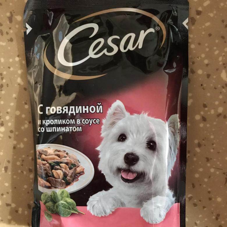 Рейтинг кормов для собак