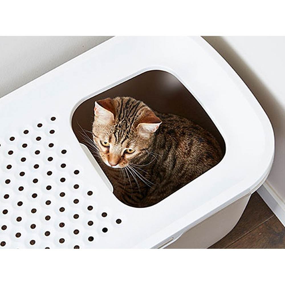 Рейтинг лучших туалетов (лотков) для кошек на 2022 год с достоинствами и недостакткками .