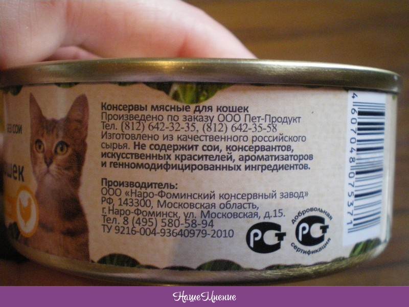 Питание для кошек и котов: сбалансированный рацион, корма или натуралка...