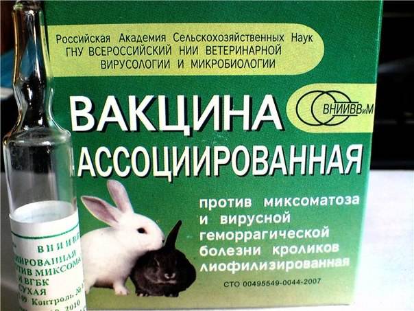 Ассоциированная вакцина для кроликов: инструкция, дозировка