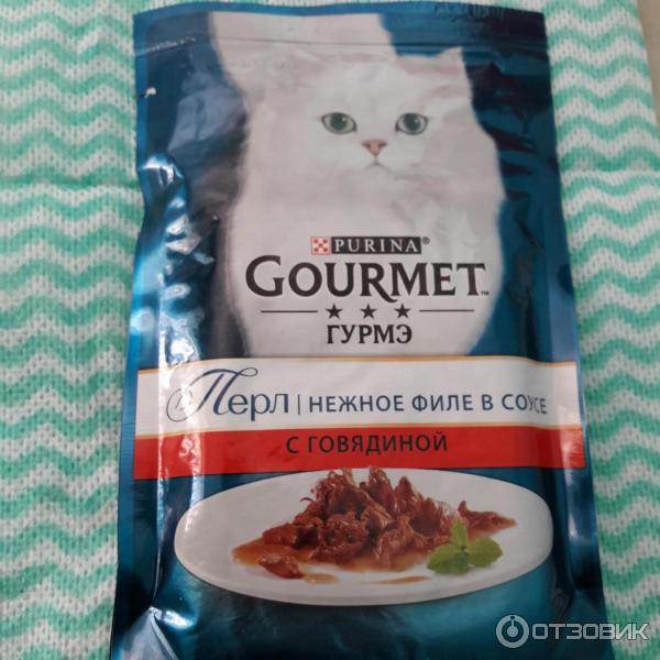Gourmet (гурме): обзор корма для кошек, состав, отзывы