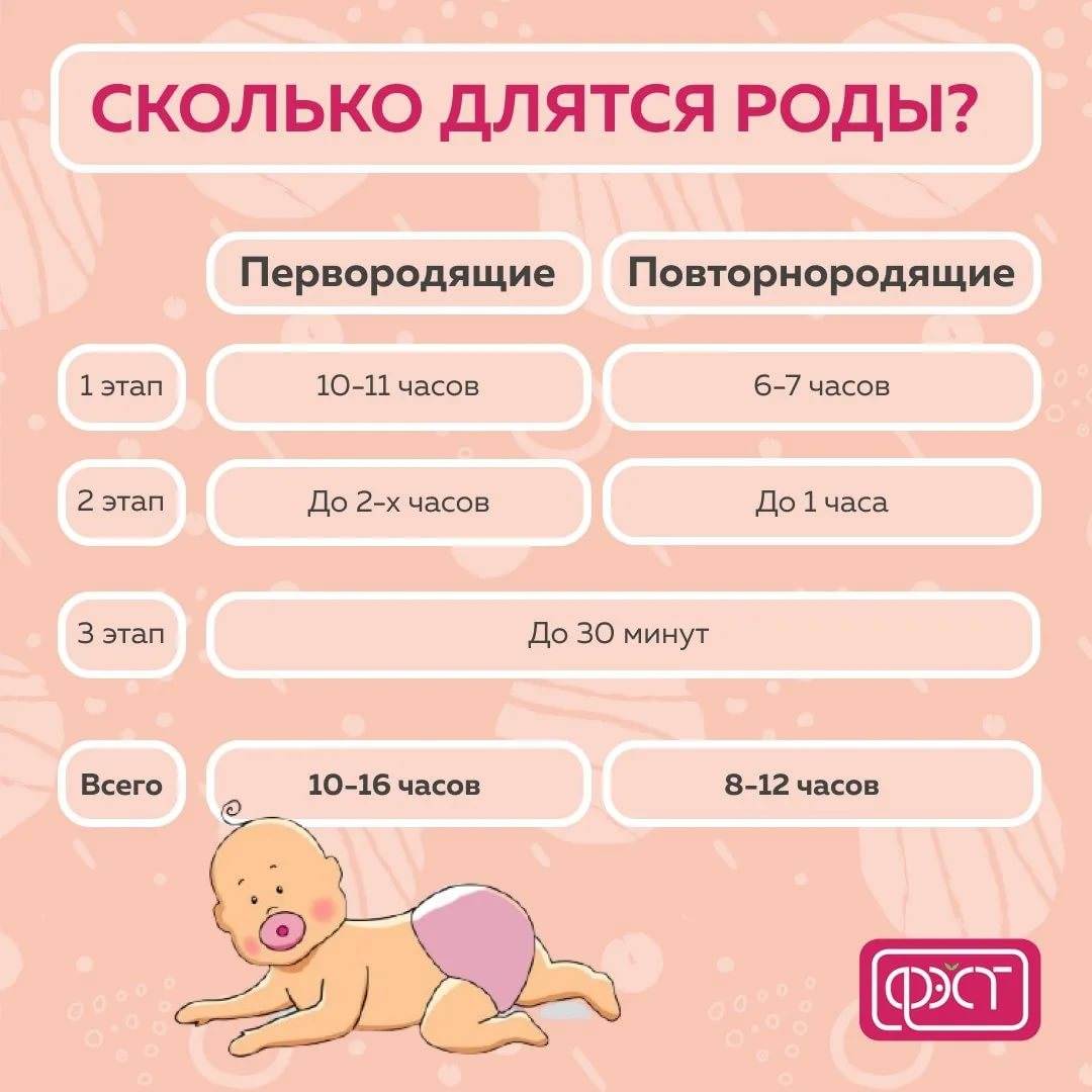 План родов образец 2022