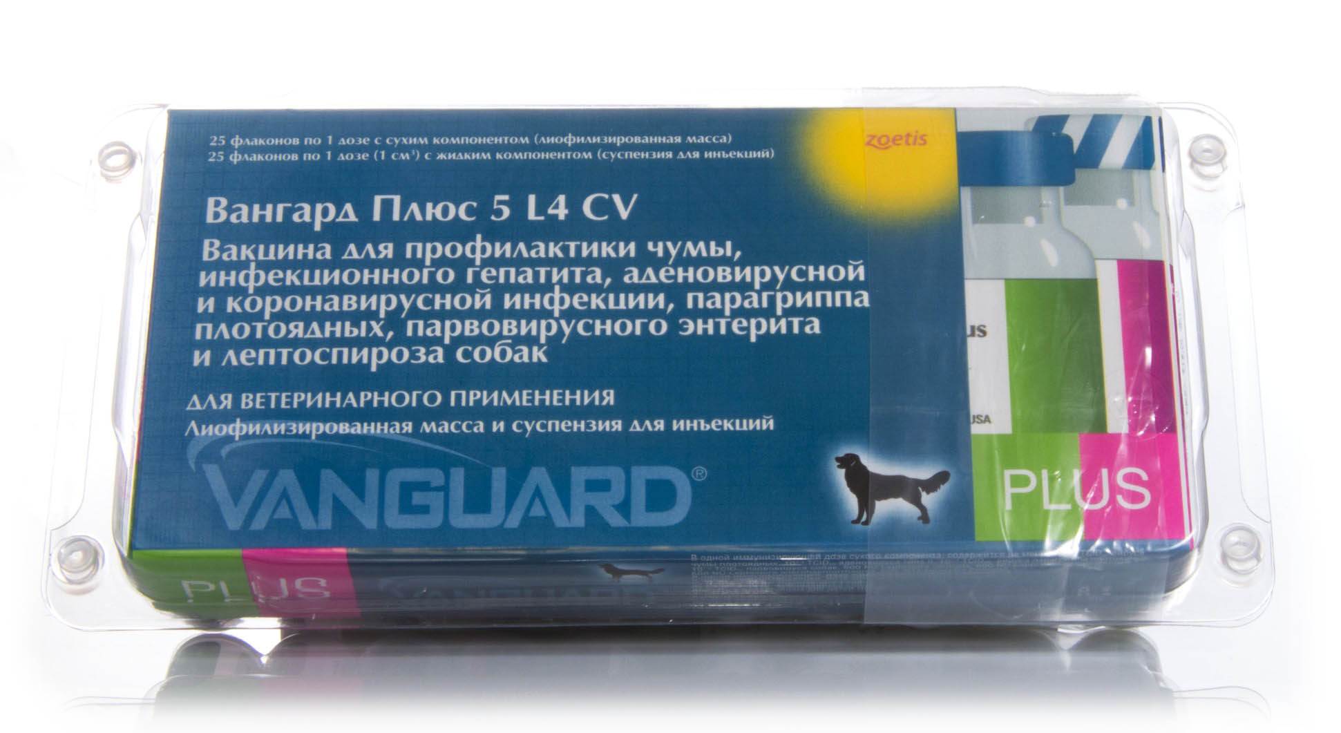 Вангард 5 (инструкция по применению для собак). зачем собакам делать прививку вангард 5 плюс cv?