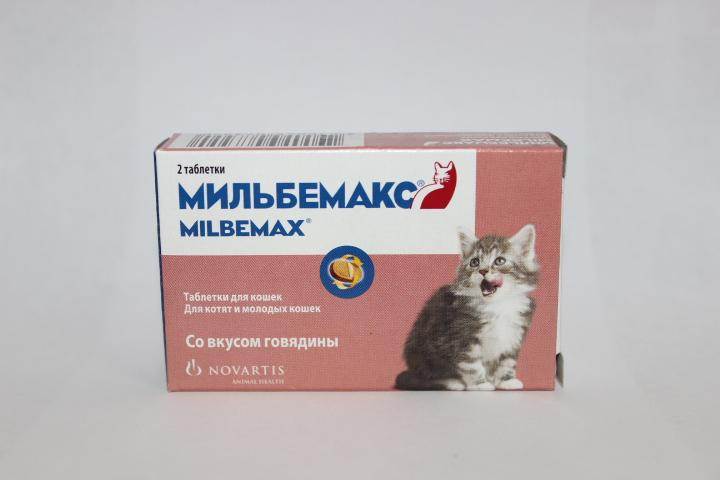 За сколько глистогонить кошку перед прививкой. Глистогонные таблетки для кошек. Препараты глистогонить котенка. Глистогонить кошку таблетки. Мильбемакс для котят.