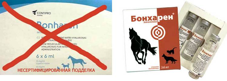 ᐉ бонхарен для собак — инструкция по применению - ➡ motildazoo.ru