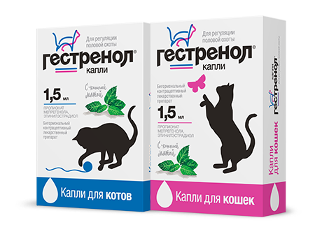Как отучить кошку или кота гадить в неположенном месте: ветеринарные препараты и народные средства