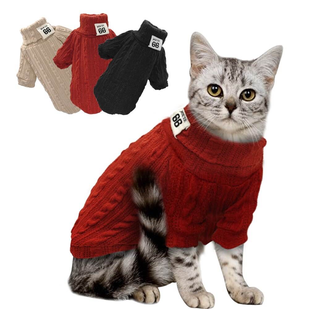 Одежда для кошек – прихоть хозяина или необходимость? | блог ветклиники "беланта"
