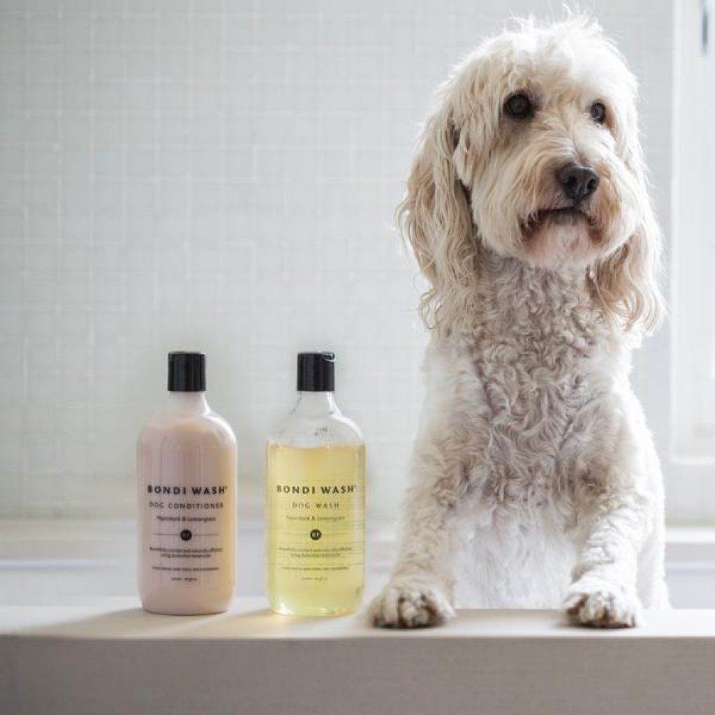 Можно ли мыть собаку человеческим шампунем