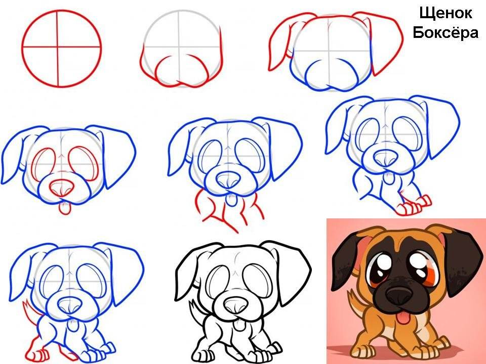 Как нарисовать собаку, символ 2018, легко и красиво поэтапно карандашом и красками — по клеточкам для детей и начинающих рисунок собаки