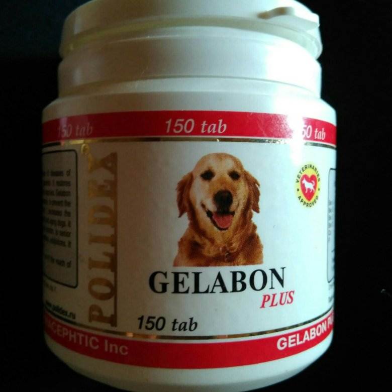 Гелабон для собак: инструкция по применению, свойства и особенности