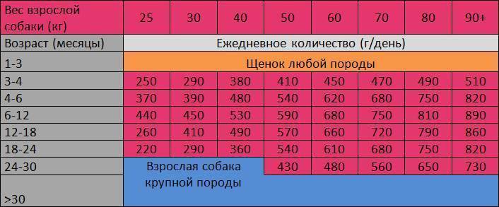 Как правильно кормить свою собаку натуральной пищей?